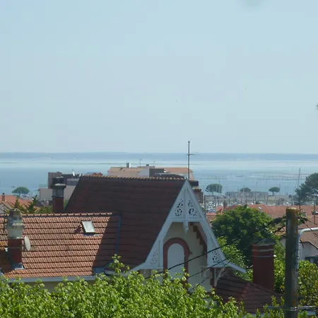 My Noi Apartament *